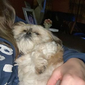 Meet your Posher, Sabrina